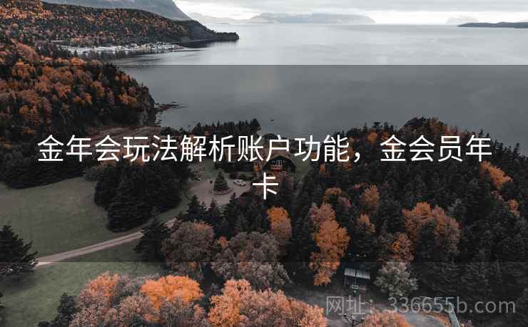 金年会玩法解析账户功能,金会员年卡 金年会玩法解析账户功能,金会员年卡