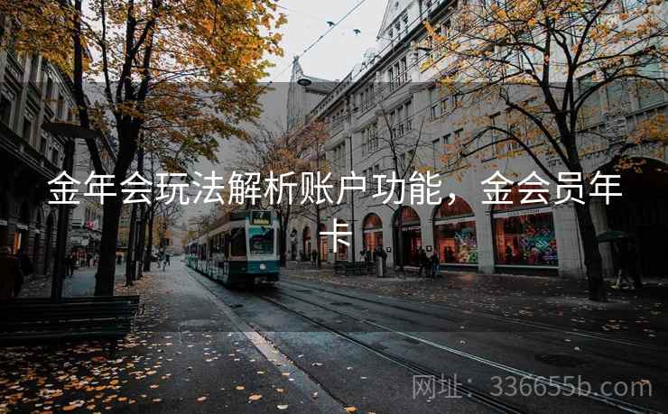 金年会玩法解析账户功能,金会员年卡 金年会玩法解析账户功能,金会员年卡