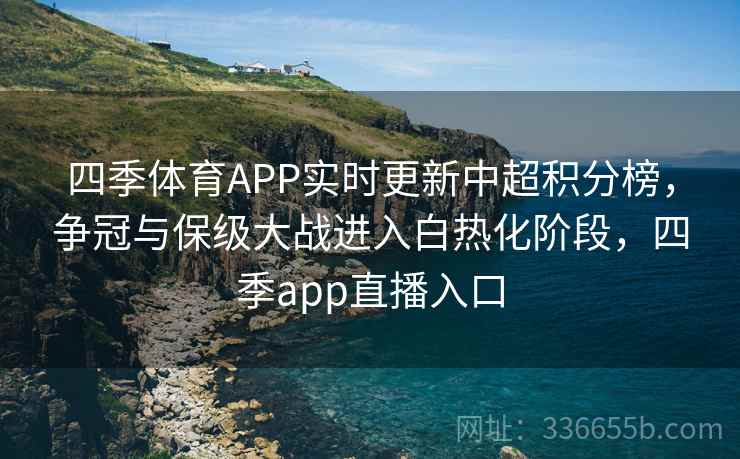 四季体育APP实时更新中超积分榜，争冠与保级大战进入白热化阶段，四季app直播入口