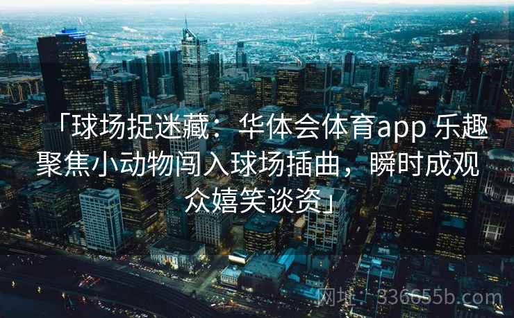 「球场捉迷藏：华体会体育app 乐趣聚焦小动物闯入球场插曲，瞬时成观众嬉笑谈资」