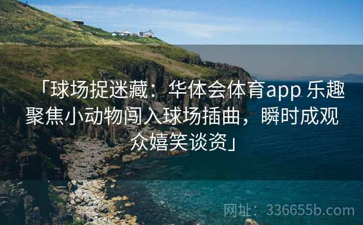 「球场捉迷藏：华体会体育app 乐趣聚焦小动物闯入球场插曲，瞬时成观众嬉笑谈资」
