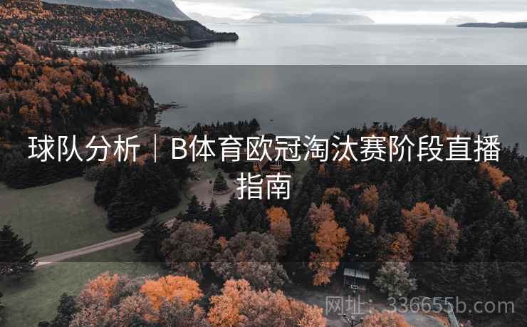 球队分析|B体育欧冠淘汰赛阶段直播指南 球队分析|B体育欧冠淘汰赛阶段直播指南