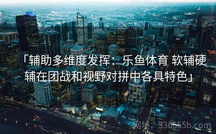 「辅助多维度发挥：乐鱼体育 软辅硬辅在团战和视野对拼中各具特色」