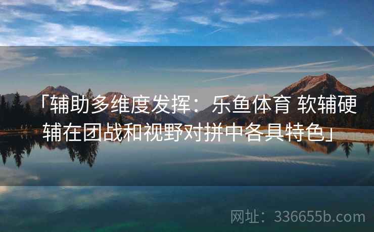 「辅助多维度发挥：乐鱼体育 软辅硬辅在团战和视野对拼中各具特色」